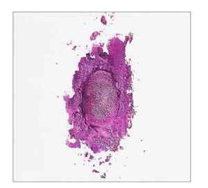 Nicki Minaj - The Pinkprint Deluxe Edition (Explicit versie) - CD