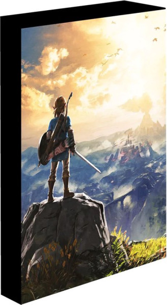 Legend Of Zelda (Into The Wilds) Light Up Canvas 30x40cm