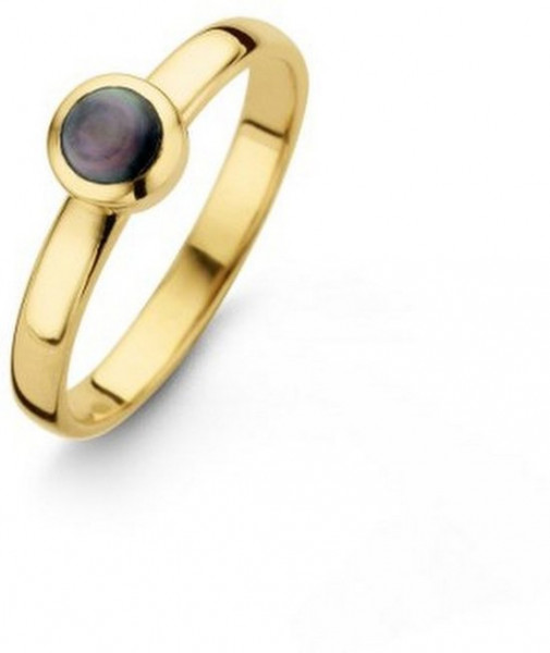 Casa Jewelry Ring Pom Grey - Goud Verguld - Maat 18.50